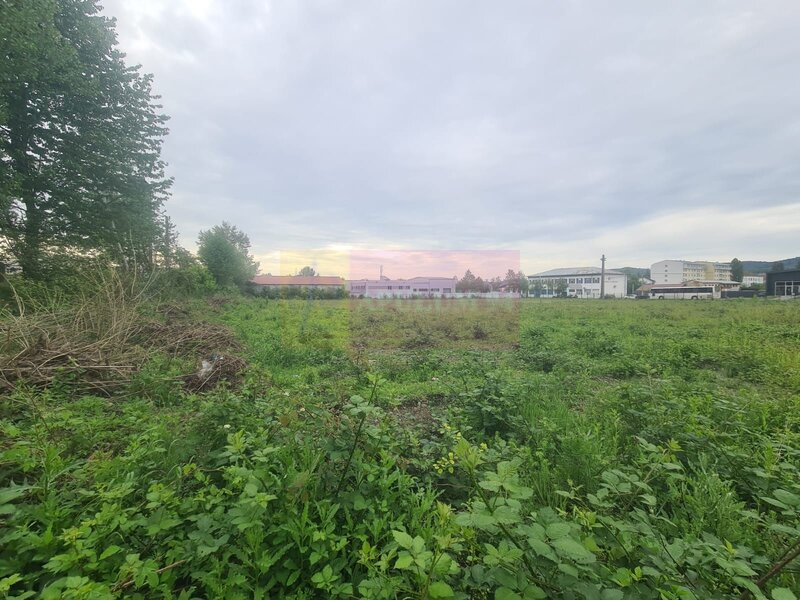 Teren intravilan de vanzare in Campina